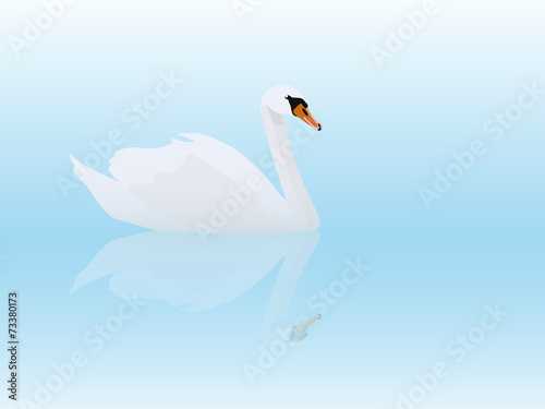 Fototapeta Naklejka Na Ścianę i Meble -  White swan