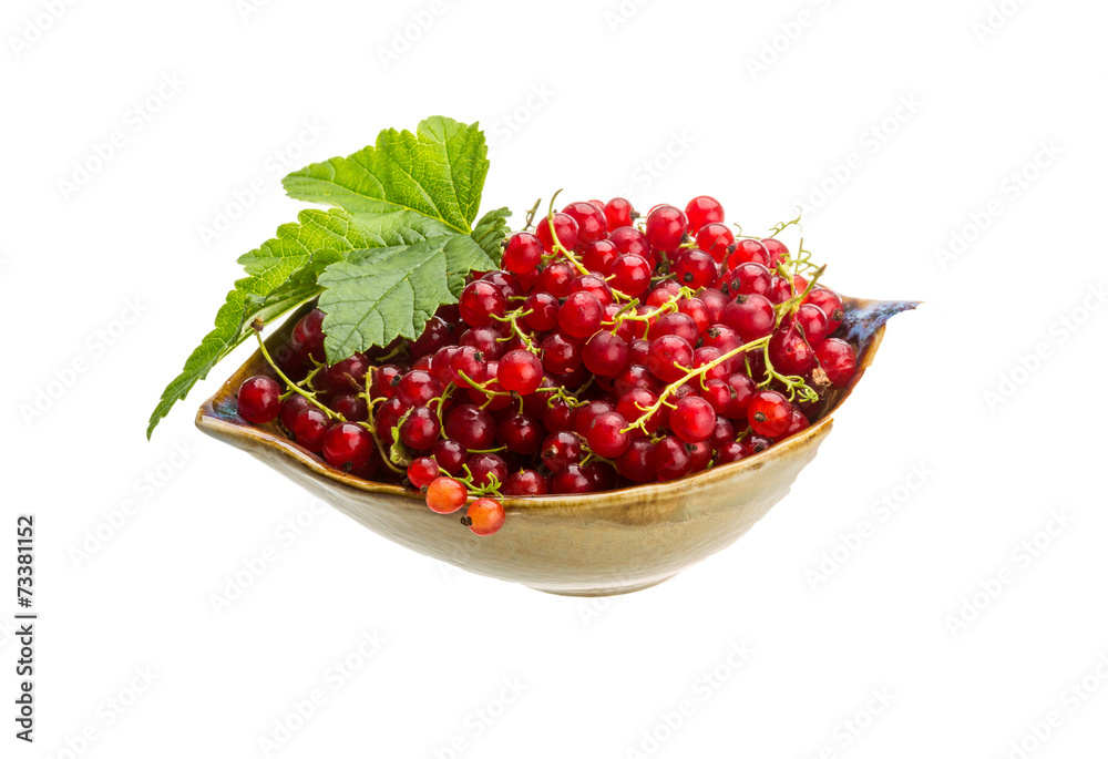 Red currant Red currant