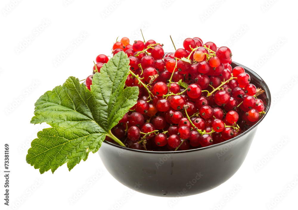 Red currant