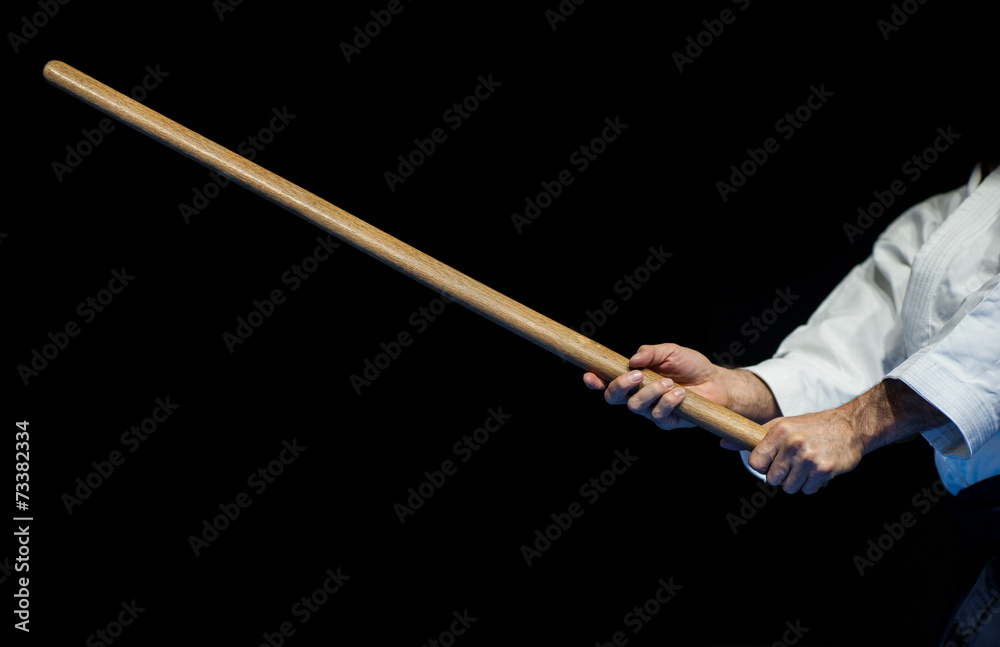 Fototapeta premium aikido