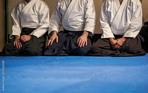Obraz na plátně aikido