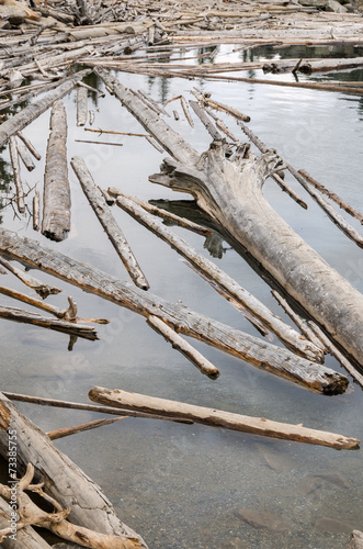 tronchi che galleggiano sul lago Moraine a Lake Louise photo