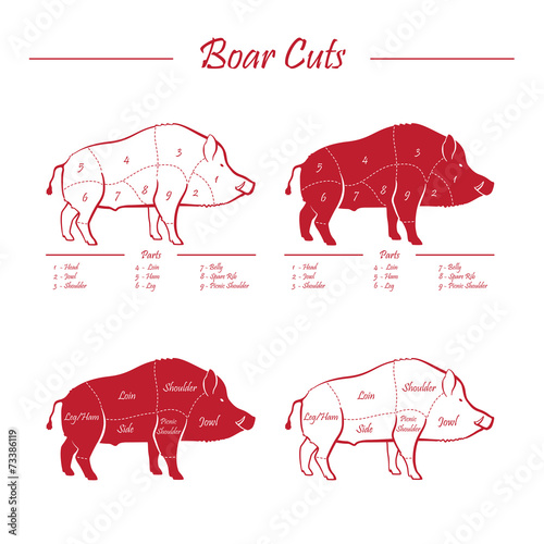 boar meat cut diagram - elements red on white