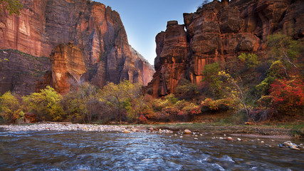 Fotobehang Natuurpark Virgin River door Zion park  © Tim Glass