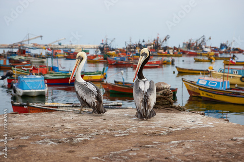 Port of Arica photo