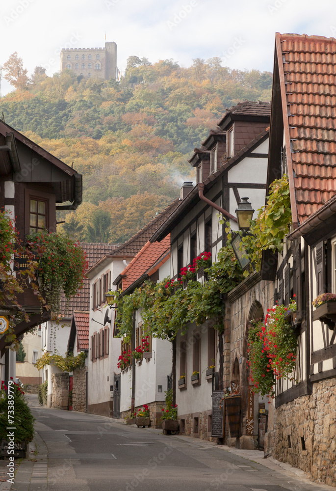 Fototapeta premium Historische Schlossgasse Hambach