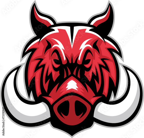 hog head mascot photo