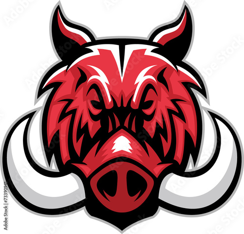 hog head mascot