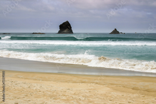 Rock formations at Sandfly Bay, Otago Peninsula, New Zealand photo