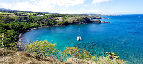 Landscape of Honolua Bay in Maui Hawaii