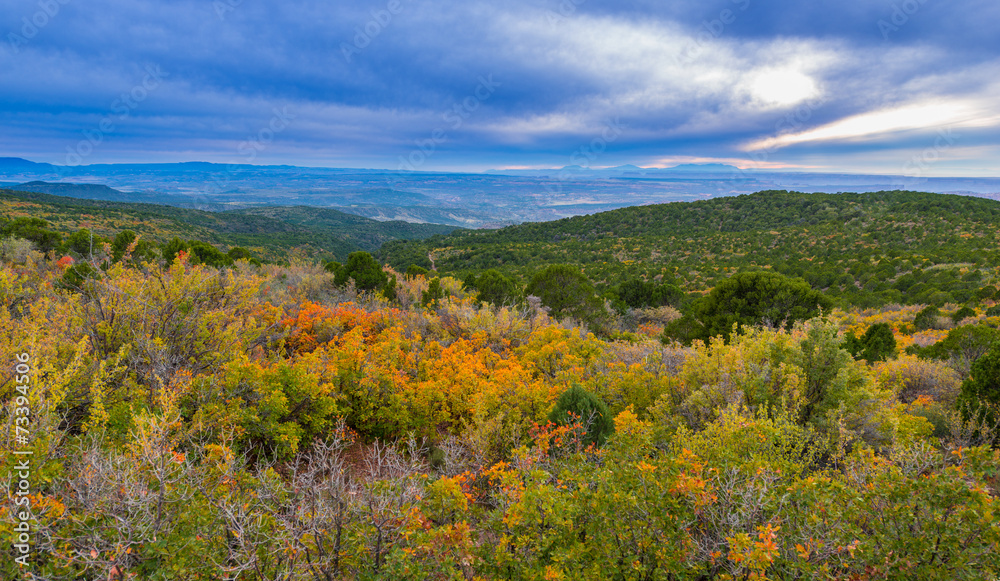 La Sal Mountain Byway in the Fall