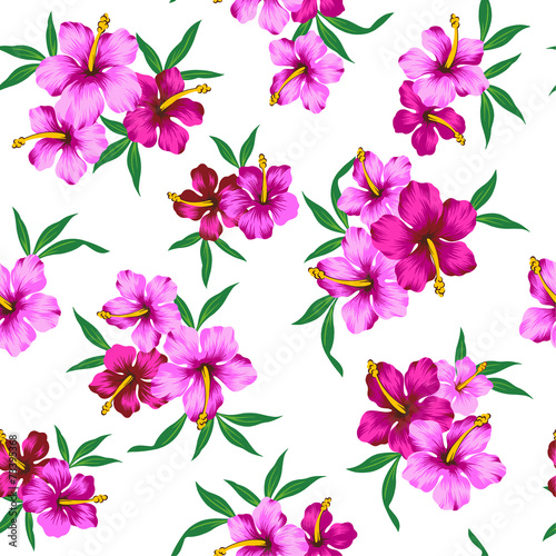 ハイビスカスのパターン