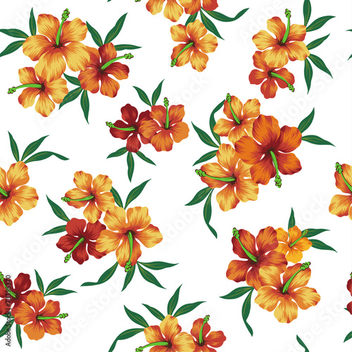 ハイビスカスのパターン