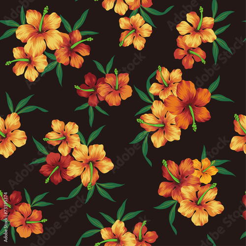 ハイビスカスのパターン