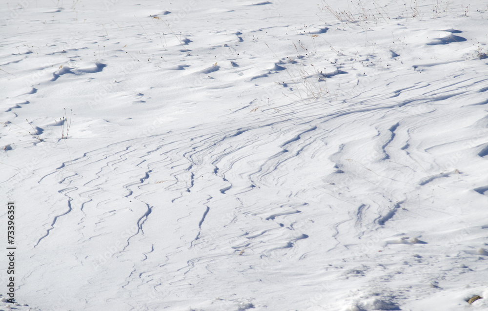 snow background, colorado snow background, colorado