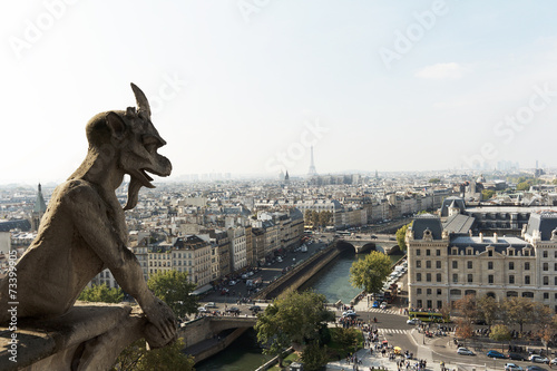 Paris, France, gargoyles in Notre Dame Cathedral.
