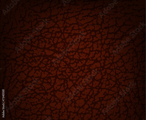 dark brown leather