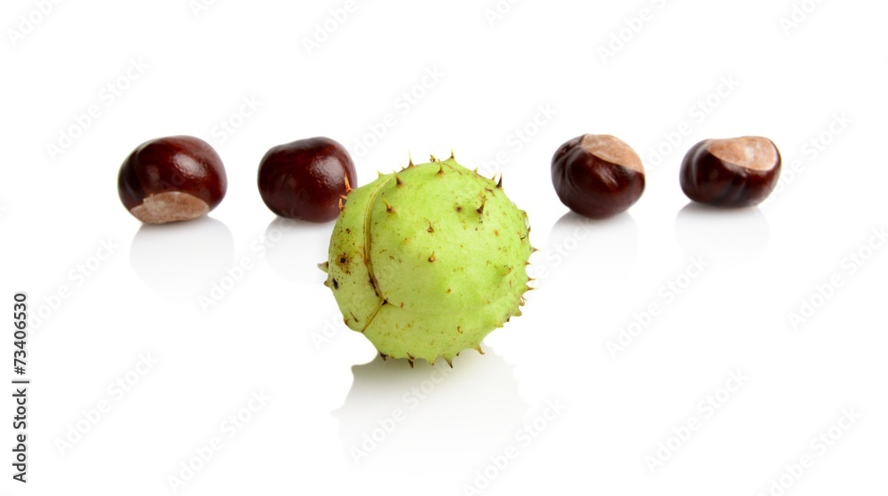 Four chestnuts different in line isolated on white background Four chestnuts different in line isolated on white background