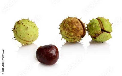Four chestnuts in line success isolated on white background