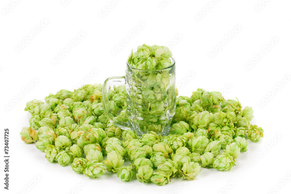 green hop in mug green hop in mug
