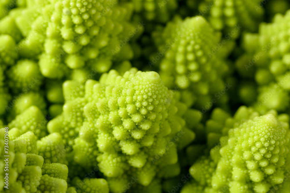 Romanesco broccoli Romanesco broccoli