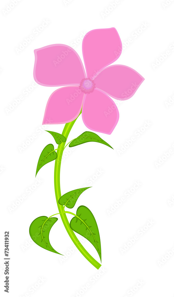Pink Flower Shape Pink Flower Shape