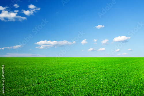 pole trawy i doskonałe niebo
