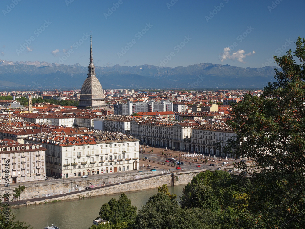 Obraz premium Turin view