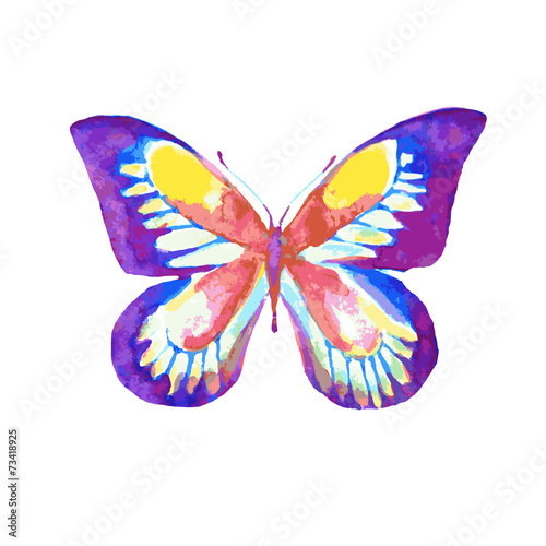 butterflies design