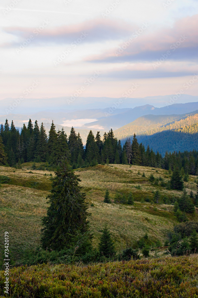 Early morning in the Carpathians.