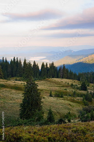 Early morning in the Carpathians.