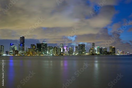 Miami at night © emel82