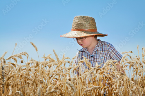 Little children in wheat © tcsaba