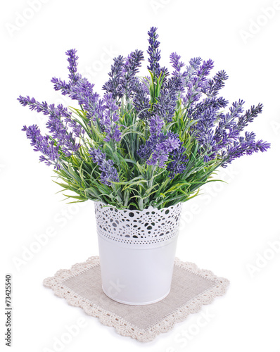 pot with lavender isolated on a white