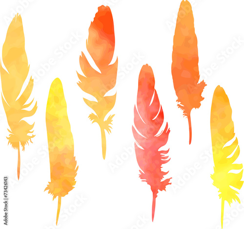 set of plumes in watercolor