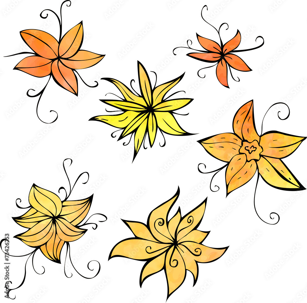 set of flowers painted by watercolor set of flowers painted by watercolor