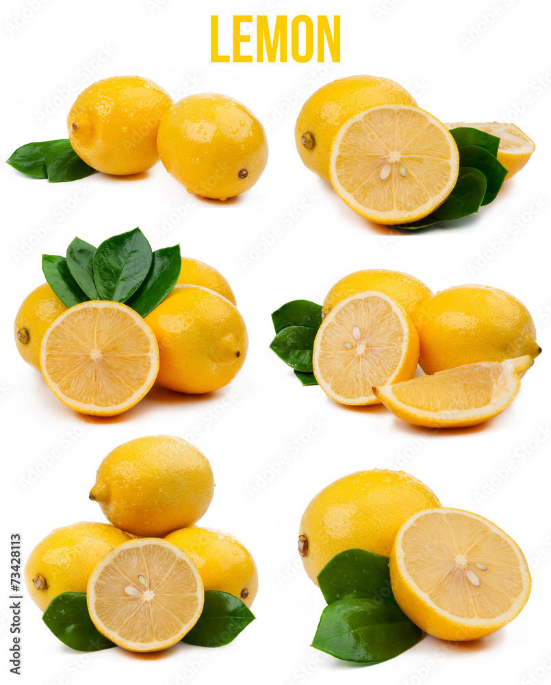 set of six compositions lemons isolated