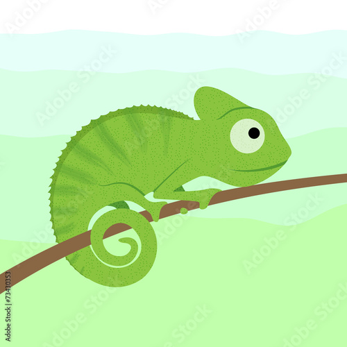 Chameleon