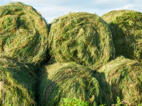 Round silage bales
