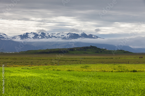 Green fields in the valley in Iceland