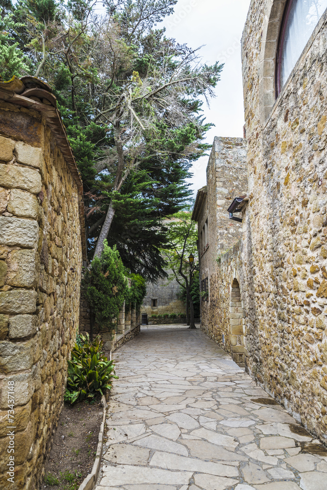Obraz premium Medieval Street in Catalonia