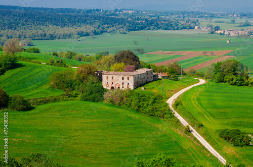 Rural landscape with a deserted manor