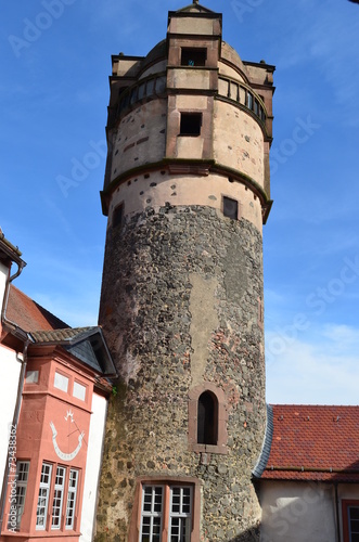 Burg Ronneburg Wetterau photo