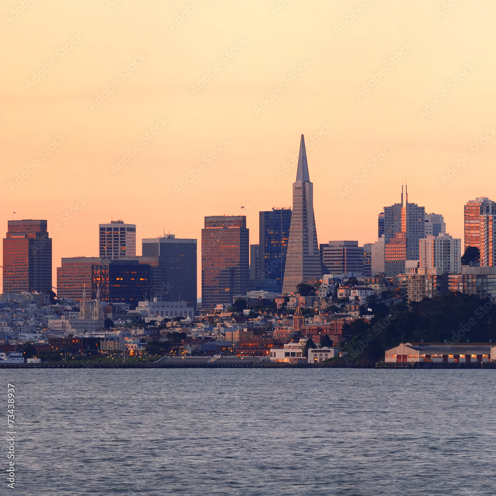 Fototapeta premium San Francisco skyline