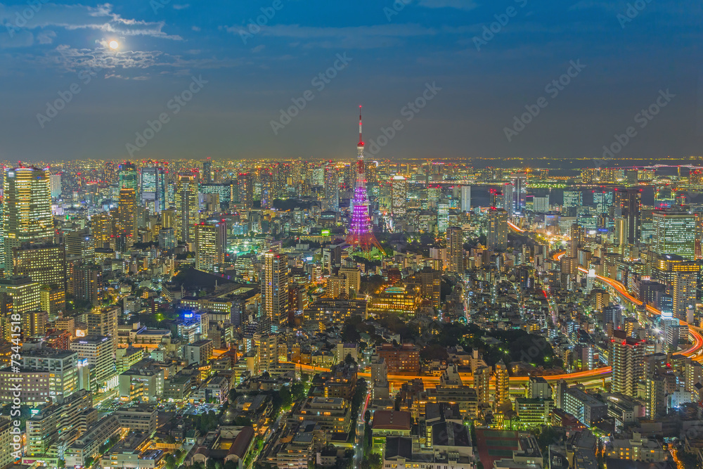 Tokyo skyline  at night