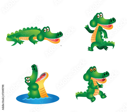 Crocodile