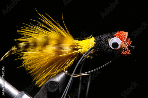 Bass Fishing Fly