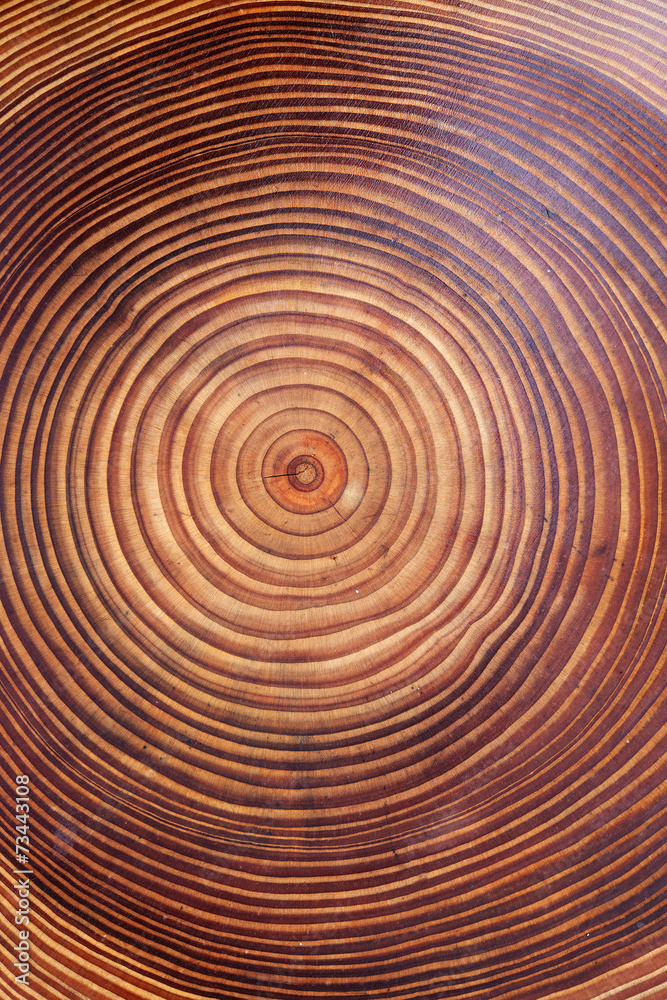 Wooden background,close up Wooden background,close up