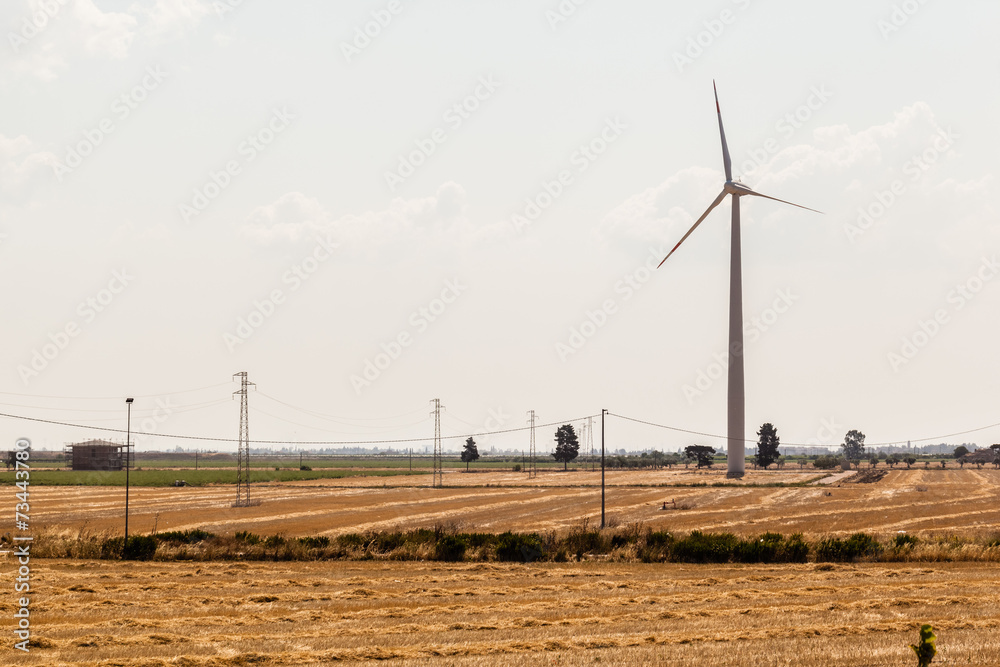 Rural wind turbine