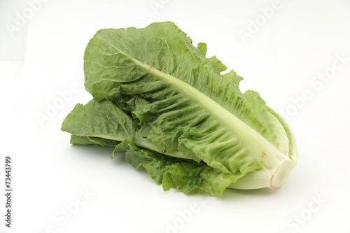 vegetable isolated on the white background.